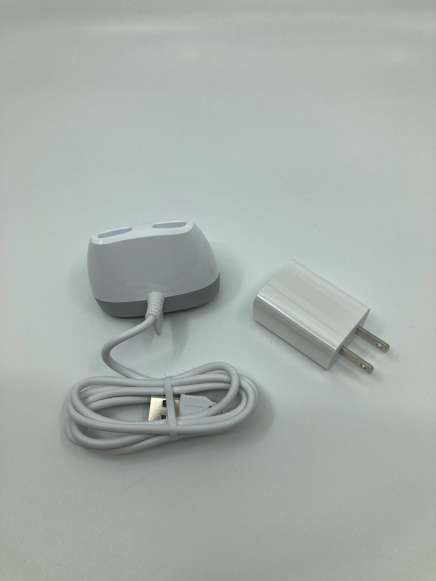 Signia AX RIC Charger